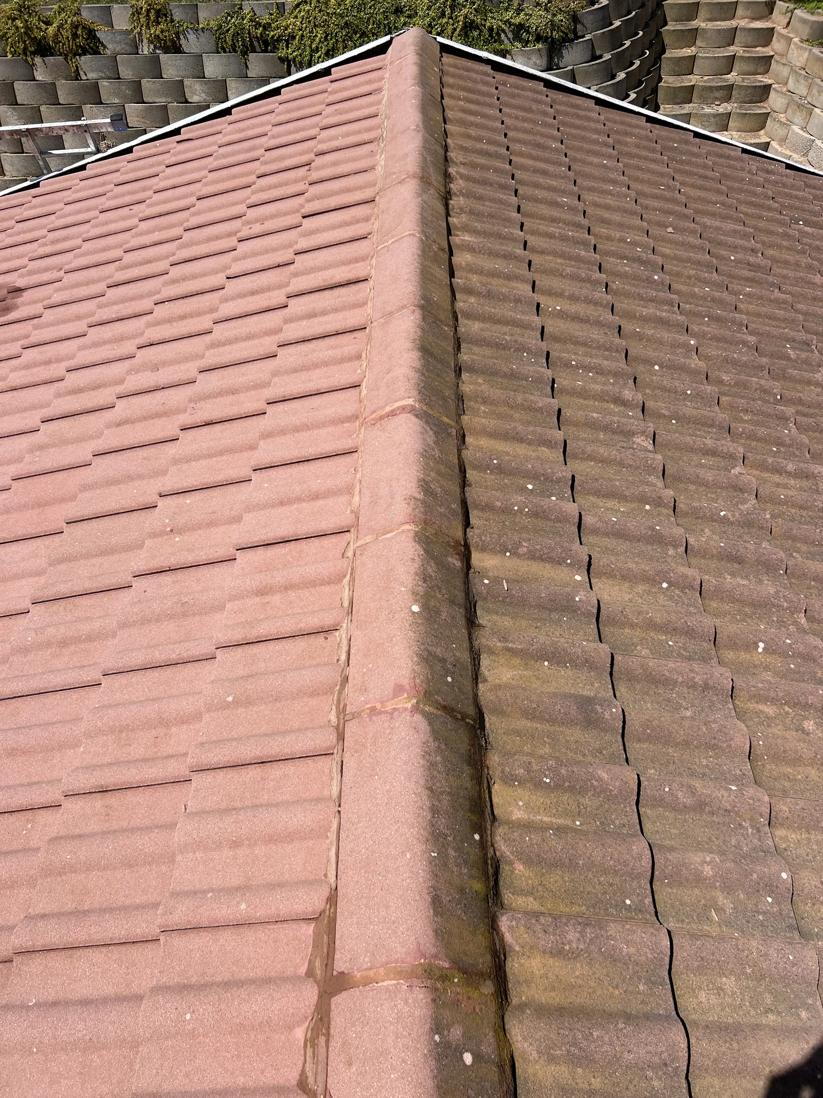 Roof tiles cleaned on the left, with algae still on the right