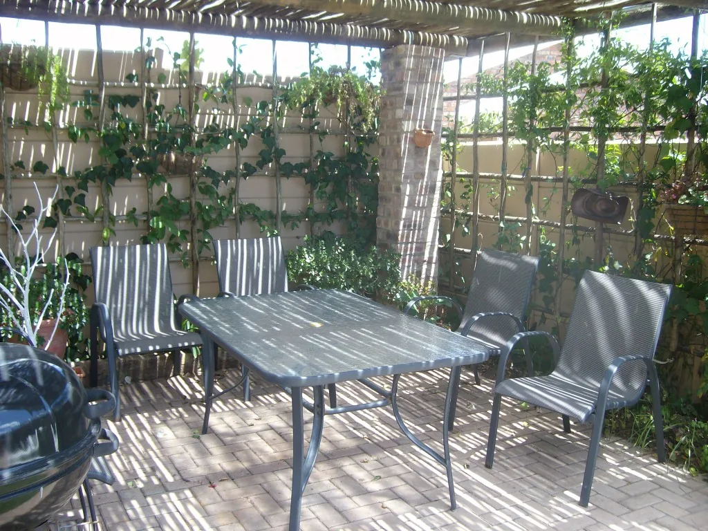Paved patio under the pergola